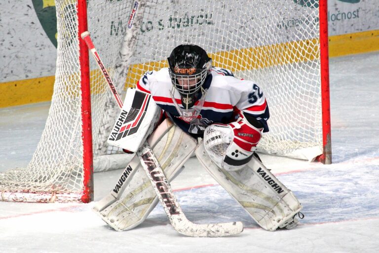 Exploring Ice Hockey Betting on Laser247